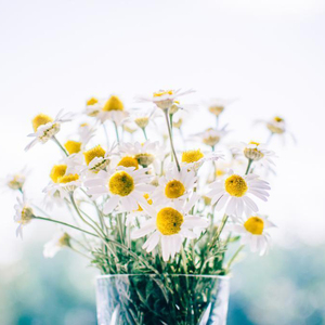 蕾姆啊啊啊不要插啦
